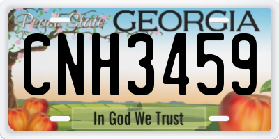 GA license plate CNH3459
