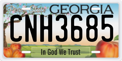 GA license plate CNH3685