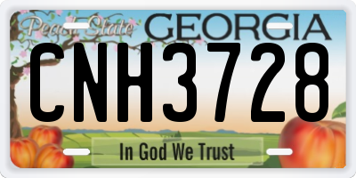 GA license plate CNH3728