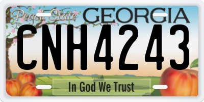 GA license plate CNH4243