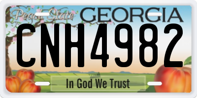 GA license plate CNH4982