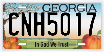 GA license plate CNH5017