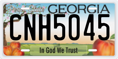 GA license plate CNH5045