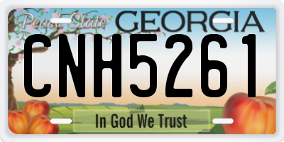 GA license plate CNH5261