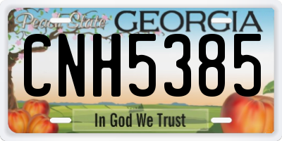GA license plate CNH5385