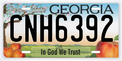 GA license plate CNH6392