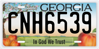 GA license plate CNH6539
