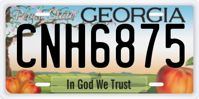 GA license plate CNH6875