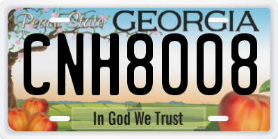 GA license plate CNH8008