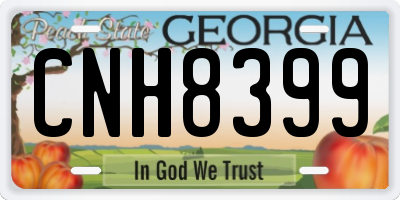 GA license plate CNH8399