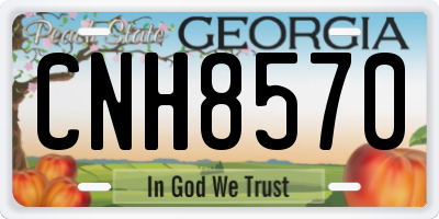 GA license plate CNH8570