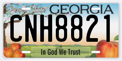 GA license plate CNH8821