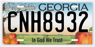 GA license plate CNH8932