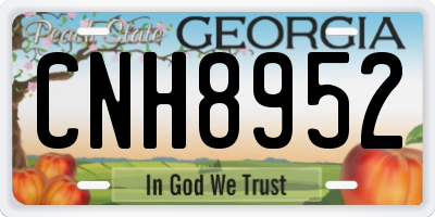 GA license plate CNH8952