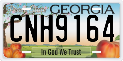 GA license plate CNH9164