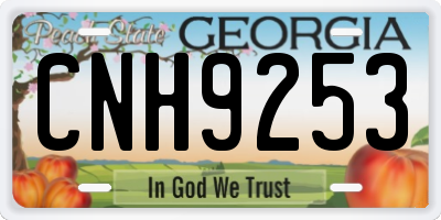 GA license plate CNH9253