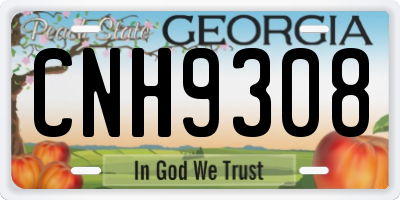 GA license plate CNH9308