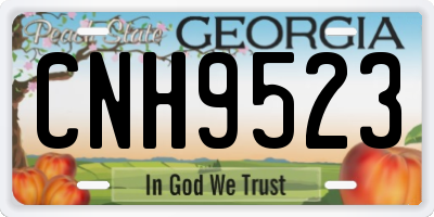 GA license plate CNH9523