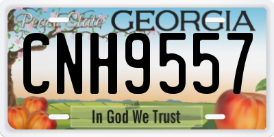 GA license plate CNH9557