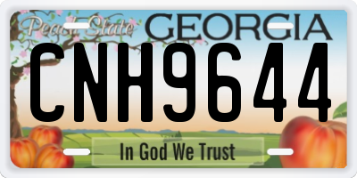 GA license plate CNH9644