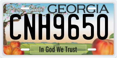 GA license plate CNH9650