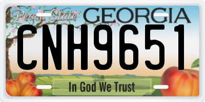 GA license plate CNH9651