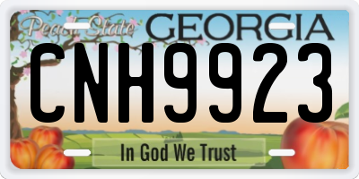 GA license plate CNH9923