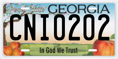 GA license plate CNI0202