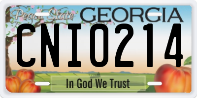 GA license plate CNI0214