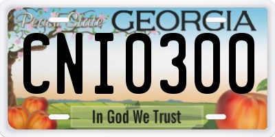 GA license plate CNI0300