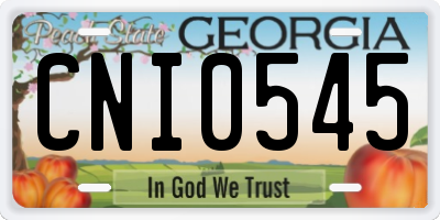 GA license plate CNI0545