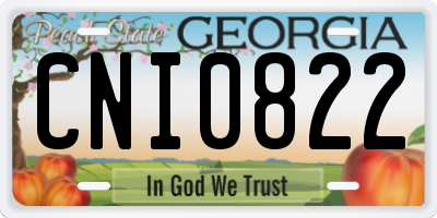 GA license plate CNI0822