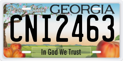 GA license plate CNI2463