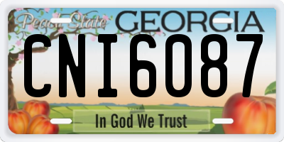 GA license plate CNI6087