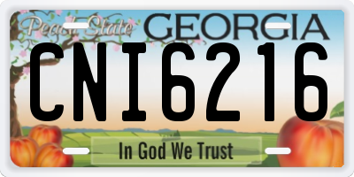 GA license plate CNI6216