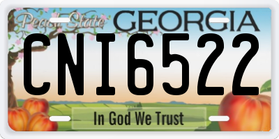 GA license plate CNI6522