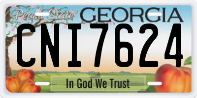 GA license plate CNI7624