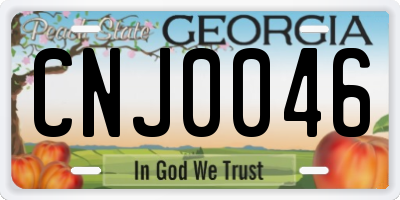 GA license plate CNJ0046