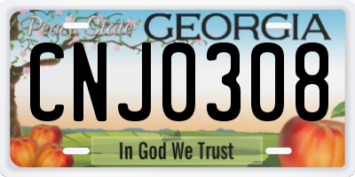 GA license plate CNJ0308