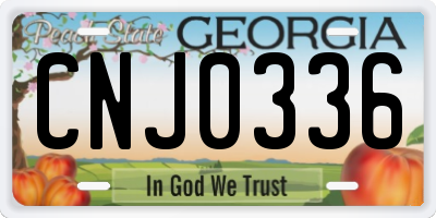 GA license plate CNJ0336