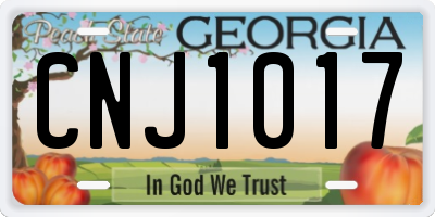 GA license plate CNJ1017