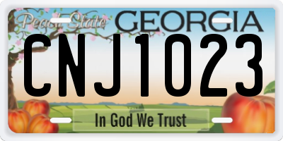 GA license plate CNJ1023