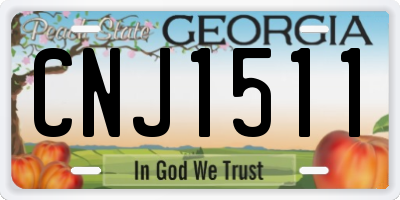 GA license plate CNJ1511