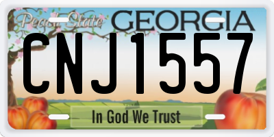 GA license plate CNJ1557
