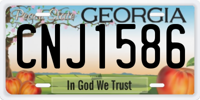 GA license plate CNJ1586