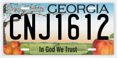 GA license plate CNJ1612