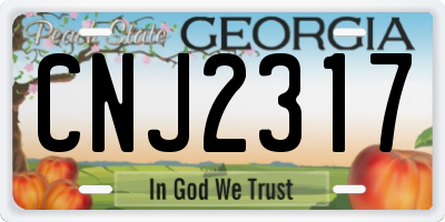 GA license plate CNJ2317