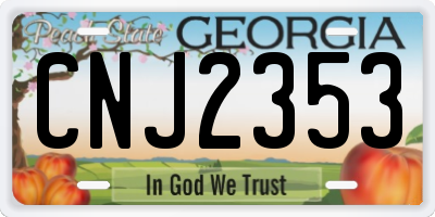 GA license plate CNJ2353