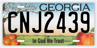 GA license plate CNJ2439