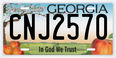 GA license plate CNJ2570